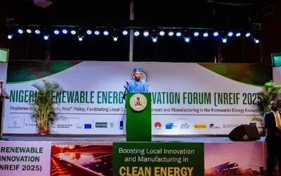 Nigeria targets $410bn investment to become Africa’s renewable energy hub — Shettima 3