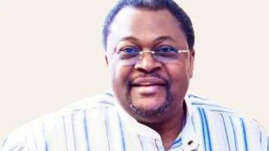 IMG 20251014 223542 400 x 250 pixel