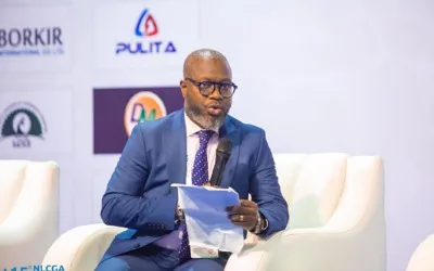 Over a decade of shaping the LPG conversation in Nigeria, by Adedayo Oketola 1