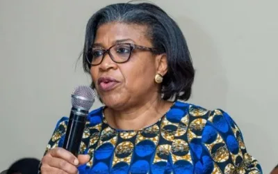 Nigeria's N152 trillion debt: A sinking ship or a rising phoenix? By Olabode Opeseitan 1