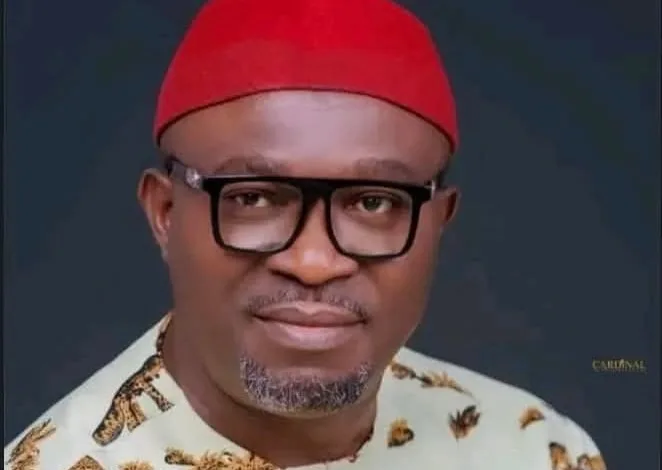 APC's Southeast domination "Unstoppable", says Udeh-Okoye 1 IMG 7351