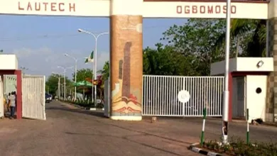 Police recover guns in latest arrest of 11 suspected cultists at LAUTECH 12 LAUTECH