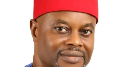 Tinubu accepts resignation of Minister of Innovation, Science and Technology, Geoffrey Nnaji 5 Minister of Science Uche Nnaji