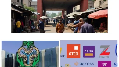 Richer banks, poorer economy: The hidden crisis in Nigeria’s financial system, by Blaise Udunze 6 Rich Banks image