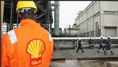 Shell, Sunlink approve HI gas project to deliver 350m scf/day 3 Screenshot 14 10 2025 16334 www.bing .com