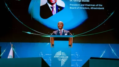 Afreximbank to partner Ogun state in financing fabric processing zone 7 Screenshot 25 10 2025 1992 www.thecable.ng
