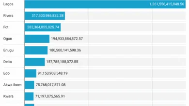 Lagos state contributes 34.7% to N3.63trn IGR in 2024, says NBS 1 YBFzH 2024 igr naira