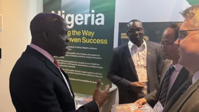 28 FDPs approved in 2025 will add 600,000 bpd crude, says NUPRC 5 df
