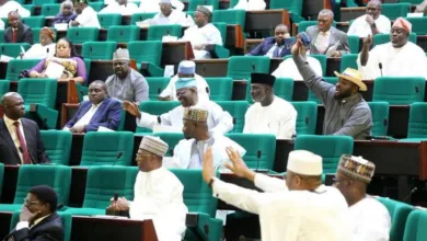 House of Reps launches probe into NFF over $25m FIFA, CAF grants 10 images 2025 10 28T202241.237