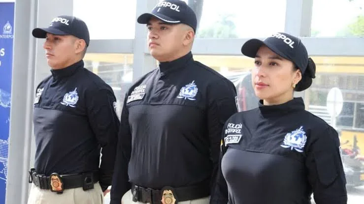 Interpol confirms arrest of 11 high-profile terror suspects in Nigeria 1 images 55
