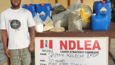 NDLEA uncovers secret 'Colorado' drug lab in Lagos, arrests 30-year-old suspect 8 IMG 20251102 WA0021