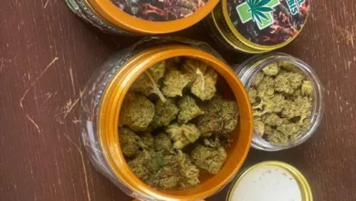 NDLEA warns public against fake medicinal cannabis, arrests kingpin 5 IMG 20251106 WA0012
