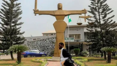 Chief magistrate orders APC aspirant's arrest after no-show in court 5 IMG 20251107 WA0005