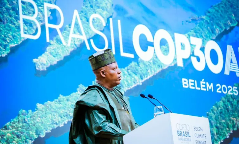 COP30: Nigeria calls for increased global climate financing to protect nature 1 IMG 20251107 WA0043