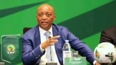 World Cup playoffs: CAF to appoint new referees for Nigeria, Gabon match 7 IMG 20251108 WA0020