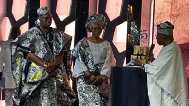 Ayo Fayose’s outburst: When gratitude is wrapped in grievance, by Olabode Opeseitan 5 IMG 20251118 WA0021