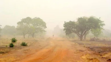 Ekiti warns residents against bush burning as harmattan begins 11 IMG 20251119 WA0000