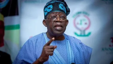 President Tinubu: The leader Nigeria may appreciate better after his tenure — by Bolaji Tunji 5 IMG 20251126 WA0024