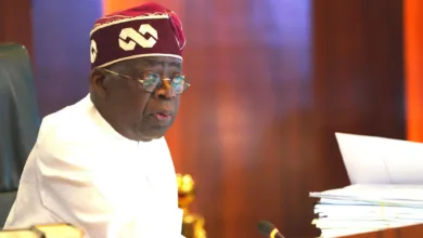 Nigeria’s security crisis — imperatives of deep structural reform, by Michael Oluwagbemi 10 IMG 20251127 WA0008