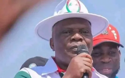 Court ruling won’t disrupt our activities — Osun PDP assures members 1