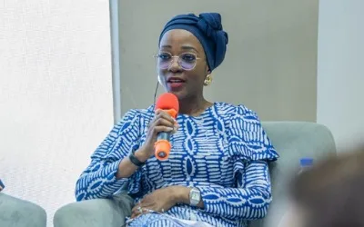Nigeria takes regional lead on climate change, unveils new emission targets 1