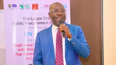 IMG 20251118 224502 400 x 250 pixel