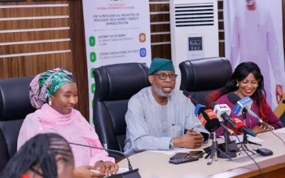Nigeria rallies African nations on sustainable gold, gemstone development 1