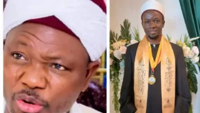IMG 20251124 205833 400 x 250 pixel