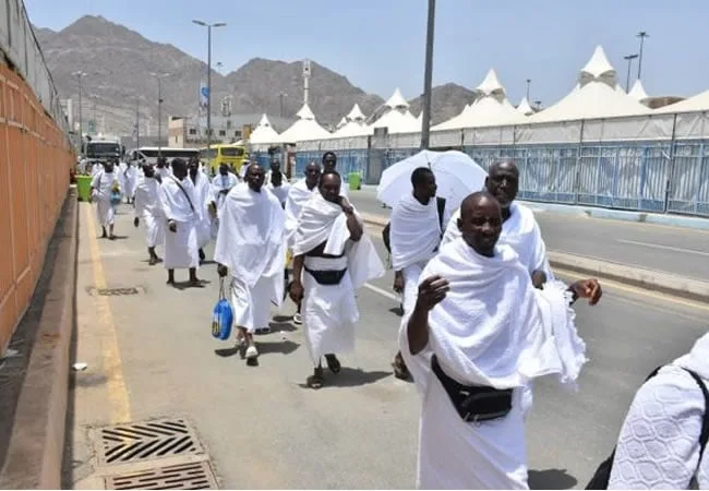 IHR demands Special Committee to tackle Hadaya irregularities ahead of 2026 Hajj 1 Nigerian Hajj pilgrims