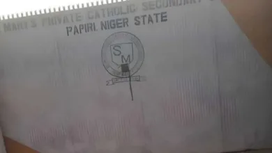 Bandits raid Catholic school in Niger State, abduct students, staff 2 ca