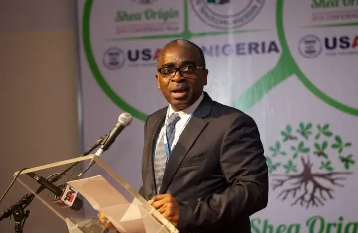 iLRGCdW8 Olusegun Awolowo