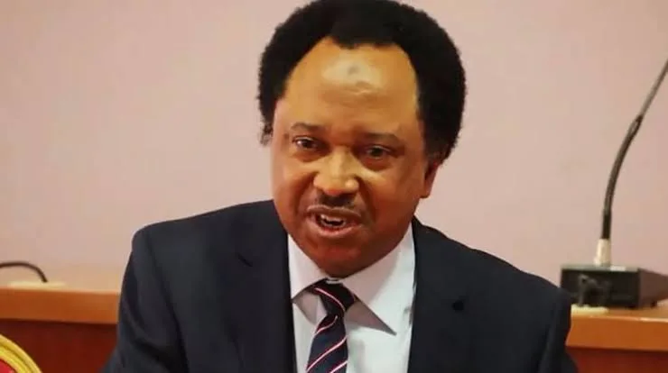 Shehu Sani accuses northern elites of politicising insecurity ahead of 2027 1 images 2025 11 25T225330.568