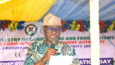 LASG boosts food security, distributes mechanised tools to 2,000 farmers 5 FB IMG 1765046397984