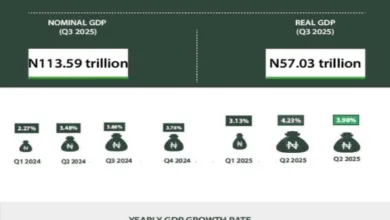 UPDATED: Nigeria’s GDP grew by 3.98% in Q3 2025, says NBS 9 G7FwKX6W0AAf03e