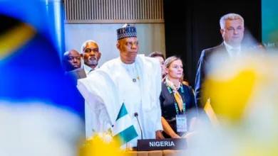 Shettima backs India’s smart class proposal, seeks local adaptation for Nigerian schools 13 IMG 20251202 WA0004
