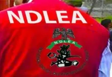 NDLEA seizes N3.4bn drugs, arrests fake police officer, others 2 IMG 20251208 WA0008