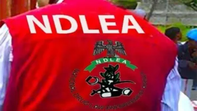 NDLEA warns against fake auction offers using officials' names 13 IMG 20251208 WA0008