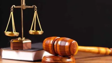 Woman docked for obstructing environmental officials in Ekiti 2 IMG 20251209 WA0016