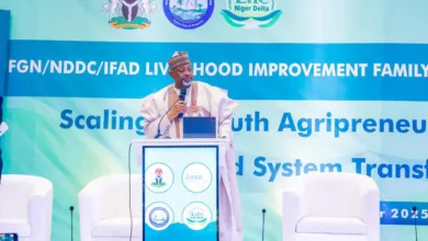 Youth agripreneurship key to transforming Nigeria’s agri-food system, says Kyari 10 IMG 20251209 WA0044