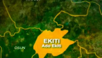 JUST IN: Woman arrested over alleged chicken theft in Ado-Ekiti 10 IMG 20251212 WA0010