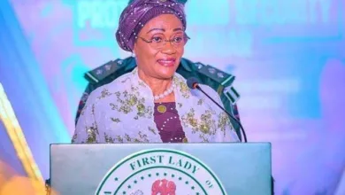 The first lady’s harmless admonition and the politics of content creation — by Seye Oladejo 4 IMG 20251217 WA0008