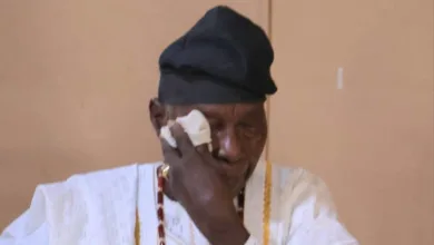 Restorying 'Ogbori Elemoso': Oba Ghandi and Lere Paimo's tears, by Folorunso Adisa 8 IMG 20251218 WA0014