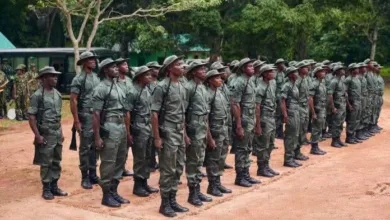 Forest Guards and the perils of ungoverned power, by Ojudu Babafemi 3 IMG 20251228 WA0024