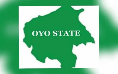 Joint taskforce cracks down on drug dealers, demolishes criminal hideouts in Ibadan 1