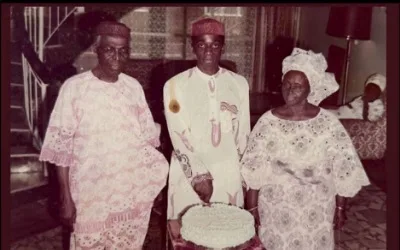 Segun Awolowo: Ode to quiet influence and public vision, by Olajide Olutuyi 1