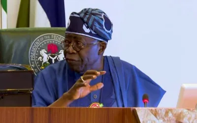 JUST IN: President Tinubu labels Kaiama massacre 'cowardly, beastly' 1