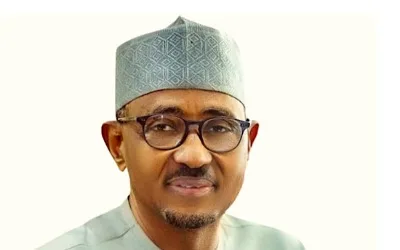 Ahmed’s shenanigans at NMDPRA and Tinubu’s silence, by Yemi Adebowale 1