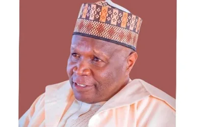 Christmas: Gombe governor felicitates with Christians, urges peaceful coexistence 1