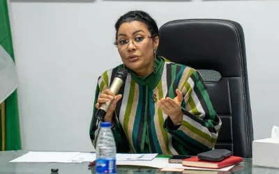 Diaspora has not learned leverage, and $21 billion proves it, by Chioma Ahaghotu 1
