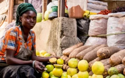 Striking a balance between food supply and farmers income, by Kayode Oyedeji 1